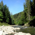 Чемпіонат України відбудеться на Свічі