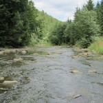 Сави на Сяні 2 + Михайло