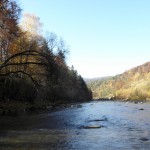 Харіусовий геноцид, або Природа таки помстилася