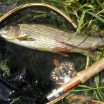 Кубок України: учасники