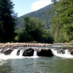 Правила проведення нахлистових змагань (ОНОВЛЕНО)