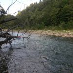 Кубок УЛН: реєстрація, проживання, харчування. Повна інформація