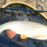 Не без трофея