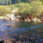 Чемпіонат УЛН. Частина четверта. Мокрі справи