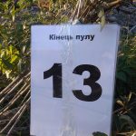 Кубок сухої мушки 2018: золоті рибки. Частина третя